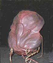 Rare Van Briggle wall sconce